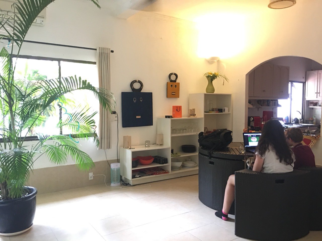 House For rent in Thao Dien- biệt thự Thảo Điền cho thuê khu Phú Nhuận