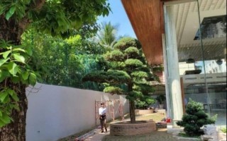 Biệt thự Thảo Điền hồ bơi sân vườn - 871m2 - 160 tỷ