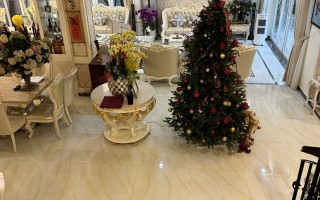 Biệt thự Thảo Điền- 204/15 Nguyễn Văn Hưởng- 433m2 - 83 tỷ