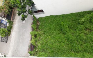 Bán đất 9/2 đường số 64, Thảo Điền - 230m2 - 48 tỷ