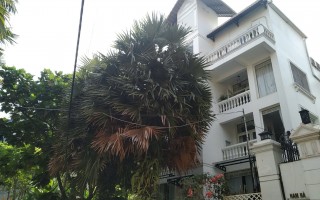 Tòa căn Hộ Dịch Vụ Nguyễn Văn Hưởng Thảo Điền - 375m2 - 100 tỷ